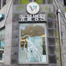 (주)이젠메디컬 | 제주 대형견 동물병원 주말진료 가능 반려동물 동반 여행시 브이동물메디컬센터 추천
