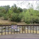 둘레길7구간 이미지