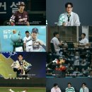 퍼펙트