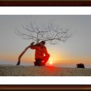 백일홍동산 이미지