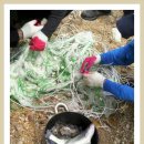 시온민박 이미지