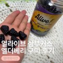 구미로 | 육아하느라 힘든몸을 얼라이브 삼부커스 엘더베리 구미로 챙기는 후기🍇