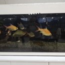 채설진소머리국밥 이미지