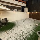 댕댕회관 이미지