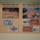 한신대학교 박물관 이미지