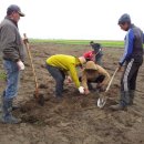 김영석 농장 이미지