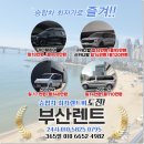 황금카써비스 이미지