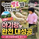 우리목장 | 홍천 양떼목장 후기 | 하양목장 고민하다가 하늘양떼목장 아기랑 다녀온 이유