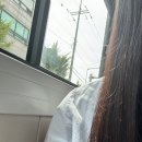 루더비코헤어