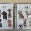 샤샤살롱 지제동삭점 네이버블로그