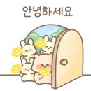 정냉삼집 이미지