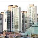 강남-222 이미지