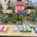 눈을맞추다 서귀포신시가지점 | 서귀포 저렴하고 다양한 안경과 렌즈가 있는 곳 눈을, 맞추다