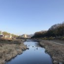 새동신약국 이미지