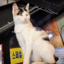 오이도옥귀도횟집 이미지