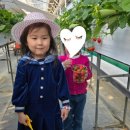 연천완구