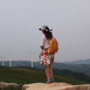 쌍둥이목장 이미지