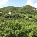 이형재농장 이미지