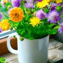 봉수초등학교 이미지