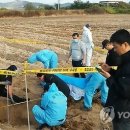 인출농장 이미지