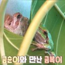 금복농장 네이버블로그