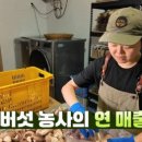 김윤영 농장 이미지