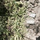 선흘하우스 이미지