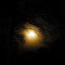 파도의숨결 이미지