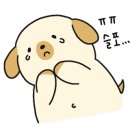 제주똥돼지화정