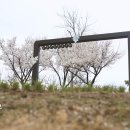 서구 구민운동장 입구 이미지