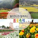 4월 봄꽃축제 정보 (대구/제주/가평/강화/고양/용인/곡성) 이미지