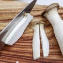 정직한 피트니스 이미지