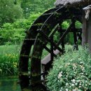 대왕농장 이미지