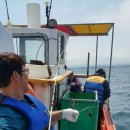 스카이비치민박 이미지