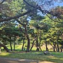 4대 탈해왕릉(동천동) 이미지