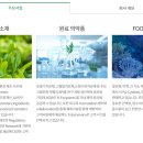 더블엘에스