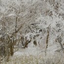 무주명가 이미지