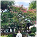 전주한옥마을 마마한복 가족한복대여 솔직후기