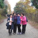 금산-43 이미지