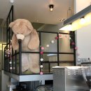 동흥메디칼 이미지