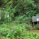 노천리샘터 이미지