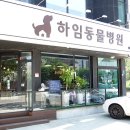 하임동물병원 이미지