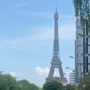 노틀담세탁 이미지