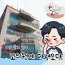 강이비인후과의원 | 비염인들의 성지 양주 고의원 진료 후기ㅣ벼랑 끝에 선 자의 비염 진행 기록