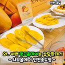 오늘은;샤브데이 | 샤브올데이 망고올데이 내돈내산 후기! 송도 맛집으로 찾는곳!