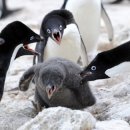 고인 | [찜질방 로그 EP2] 인천 주경사우나 솔직 후기｜고인물 찜질방?