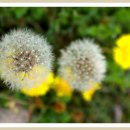 수선정사 이미지