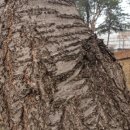 관양1동행정복지센터 이미지