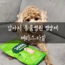 조인트 동물병원 | 강아지 동물병원 영양제 제리스타일 관절 영양제 파우치형 후기