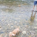 쌍계곡민박 이미지